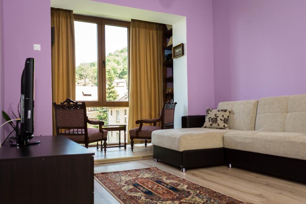 Chic Apartment Brasov Ngoại thất bức ảnh